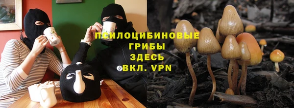ГАЛЛЮЦИНОГЕННЫЕ ГРИБЫ Горнозаводск